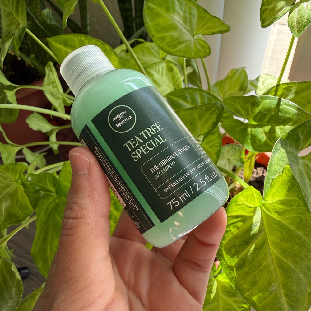 Paul Mitchell Tea Tree Special Shampoo – Travel Size 75ML – New